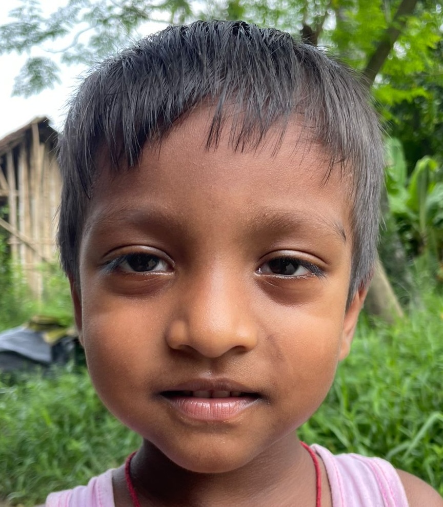 Dishan Bhowmik